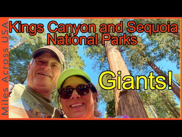 Kings Canyon and Sequoia National Parks - Giants