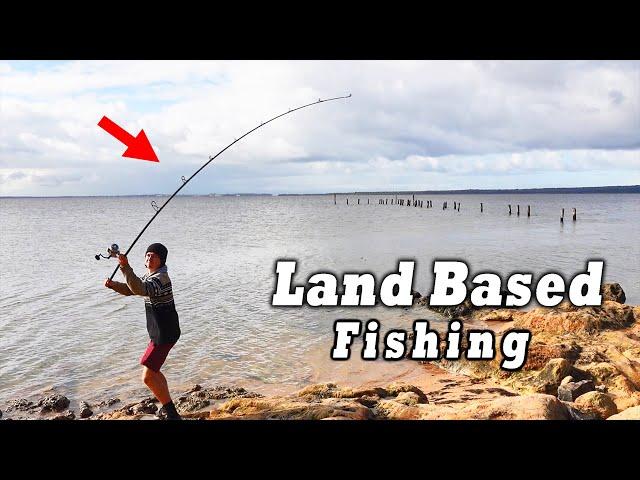 How To Catch Fish Land Based!! (Snapper and Gummy Shark Basics)