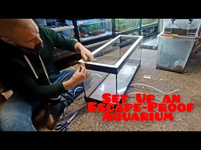 How to Set Up an Aquarium For Newts