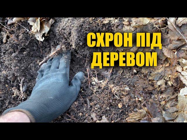Знайшли схрон під старим деревом! Слідами УПА. Коп 2021 з металошукачем Nokta Anfibio