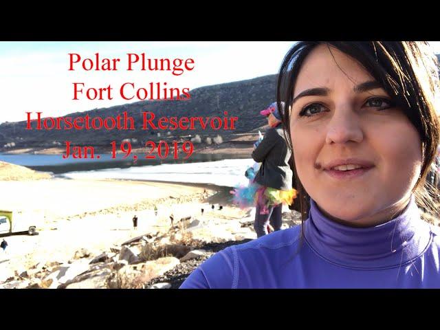 2019 Polar Plunge