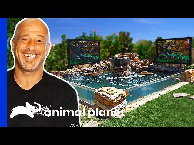 Brett Builds Massive Dream Pond in His Backyard | Tanked