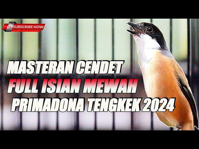 MASTERAN CENDET FULL NEMBAK TENGKEK BUTO PRIMADONA TAHUN 2024