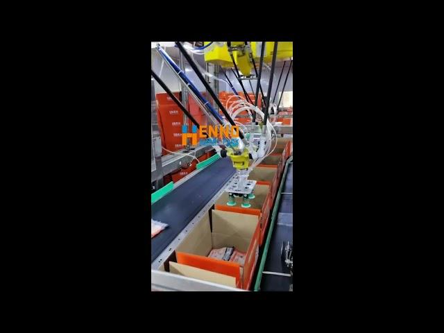 Hennopack high speed spider robot packer for pouch bag