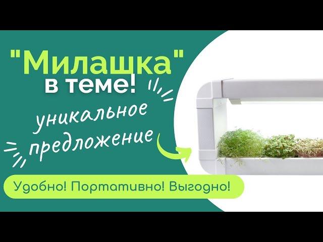 Обзор гидропонной установки Милашка | Решение для офиса, кабинета, кухни, спальни | Народные Семена