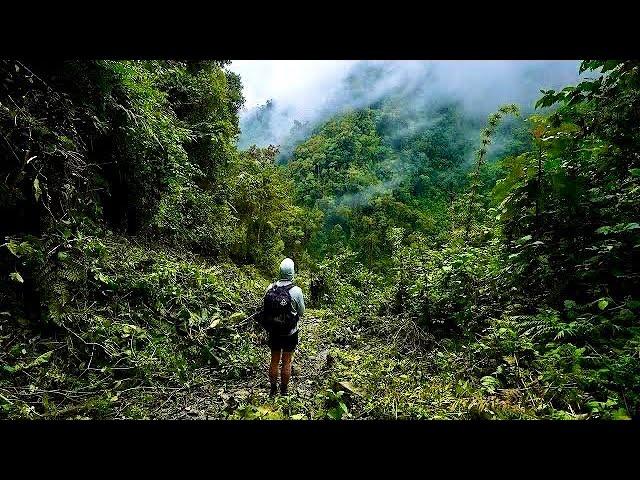 Solo Hiking 40 Miles in Los Nevados Colombia