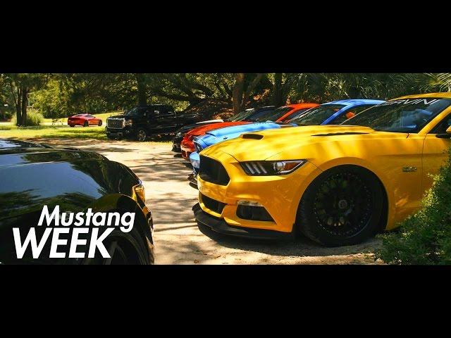 MUSTANG WEEK 2016 - Burnouts, Beers & Babes!