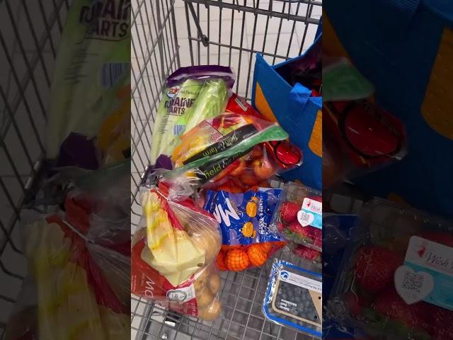 WEEKLY ALDI GROCERY HAUL UNDER $100 (Family of 4)