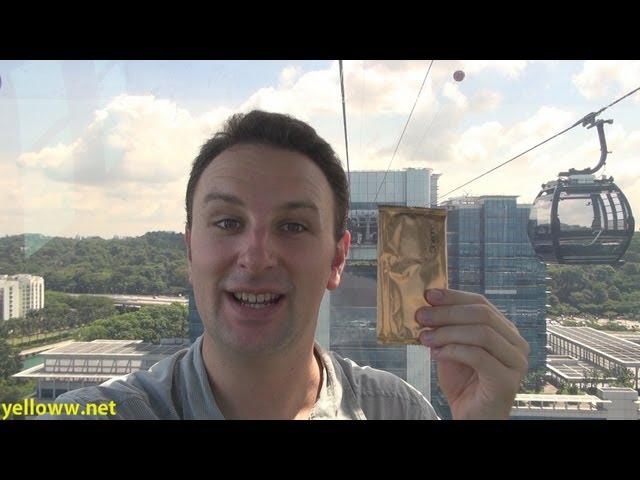 Singapore Cable Car Travel Guide