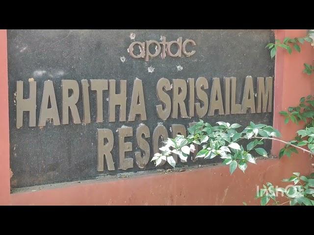 Stay at Haritha Resort, Srisailam  #AP Tourism