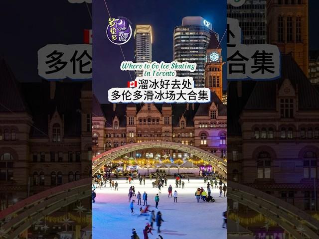 Where to Go Ice Skating in Toronto 多伦多溜冰场好去处  #多伦多吃喝玩乐 #多倫多 #toronto