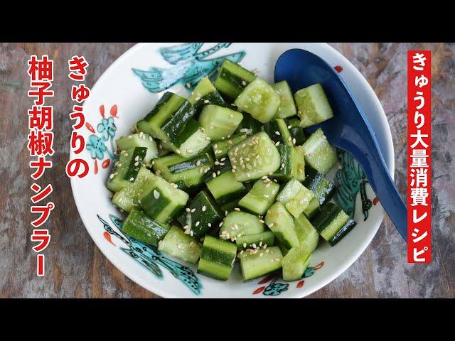 【きゅうり大量消費】きゅうりの柚子胡椒ナンプラー