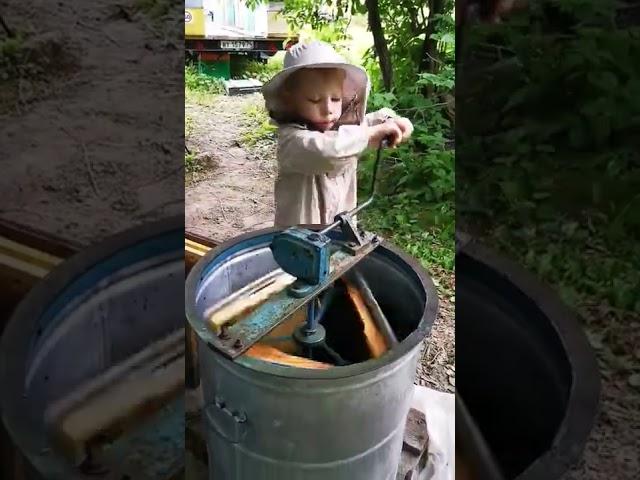 первый мед#пасекагармониста