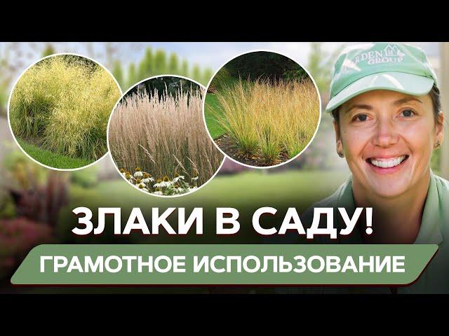 Как ВЫБРАТЬ ЗЛАКИ для участка? Мастер класс: ассортимент для ландшафта, композиции и уход за ними