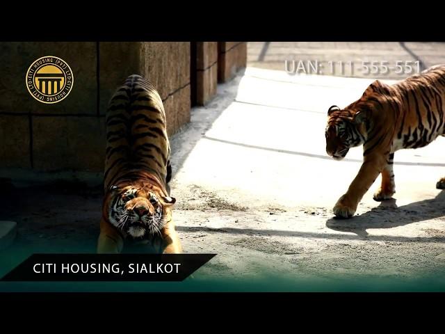 Citi Zoo (Citi Housing Sialkot)