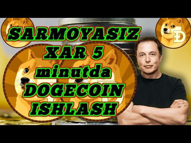 SARMOYASIZ XAR 5 MINUTDA DOGECOIN ISHLASH