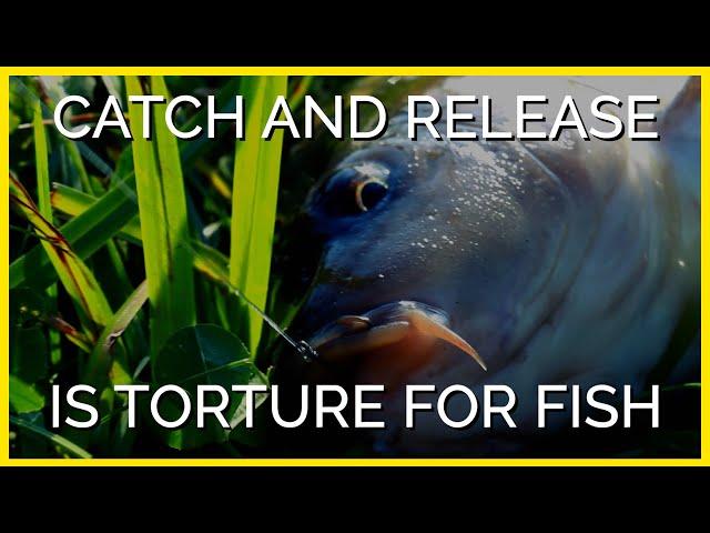 The Violent Truth Behind Catch and Release Fishing