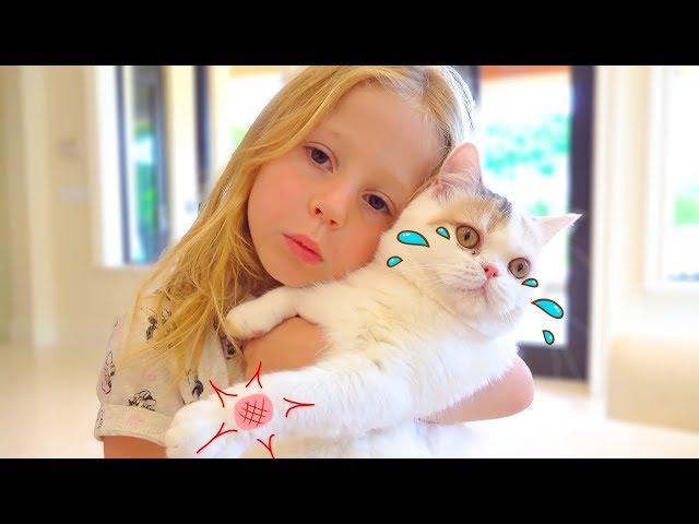 Stacy and the best cat stories for kids