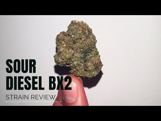 Sour Diesel BX2 Strain Review