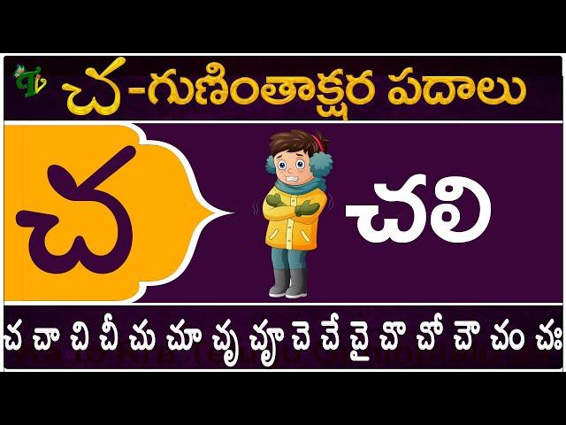 చ గుణింతాక్షర పదాలు | Cha Guninthakshara Padalu | Cha Gunintham padalu in telugu | Telugu Vanam