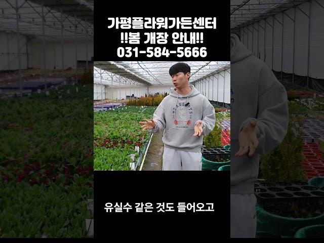 가평플라워가든센터 봄 개장 안내드립니다