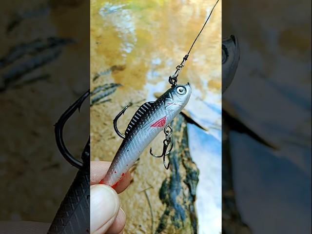 How to properly set up fishing lure #fishing #lure #lurefishing #tips