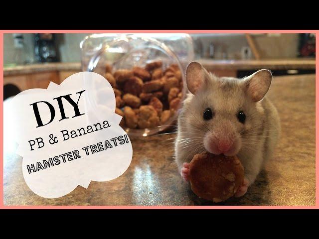 DIY Banana & PB Hamster Treats