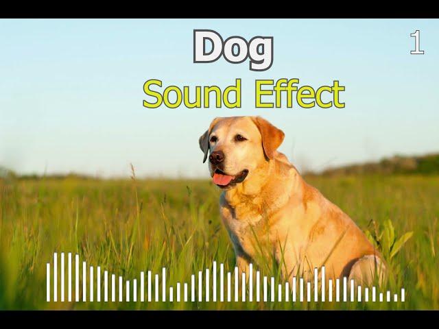 Dog Sound Effect