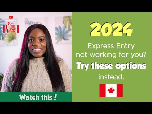 2024 Relocation To Canada | Express Entry Not working For you? Try these Options |