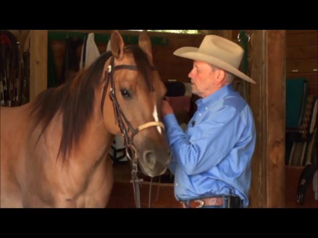 Charles Wilhelm shows how to properly fit and adjust a snaffle bit