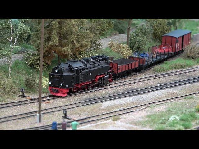 Bahnhof Hasselfelde - Die wunderschöne Diorama Modelleisenbahn Anlage in Spur H0