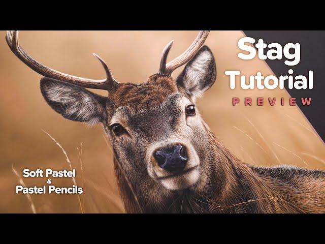 STAG Drawing Tutorial Preview | Soft Pastels & Pastel Pencils - Dynamic Background, Realistic Fur +