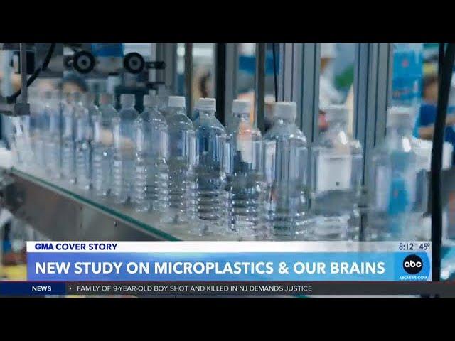 Humans may have spoon's worth of microplastics in brain, study finds