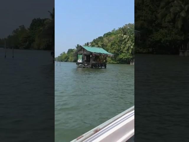 Ever Seen a Shop in the Middle of a Jungle River? 