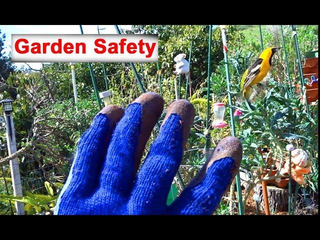 Simple Garden Safety Tips as We do Food Gardening Growing Vegetables-Compost in Place-Pot Plants