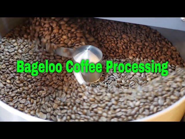 The processing Coffee at Bageloo