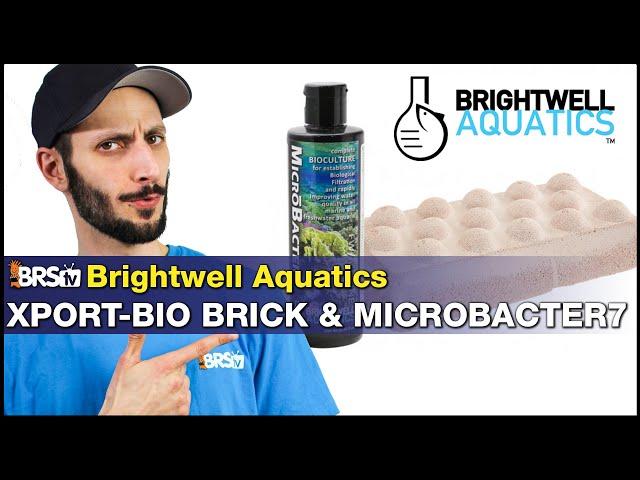 Short on biological filtration for your reef tank? Not anymore! Brightwell Xport-BIO w/ Microbacter7