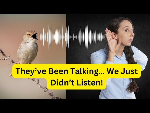 They've Been Talking… We Just Didn't Listen!  | The Truth About Animal Communication