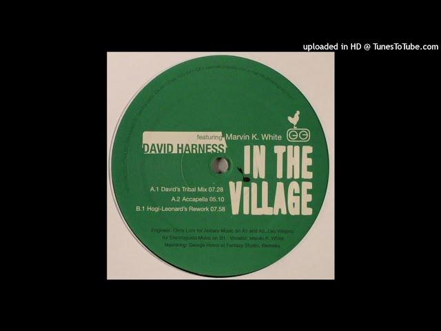 David Harness | In The Village (David's Tribal Mix)