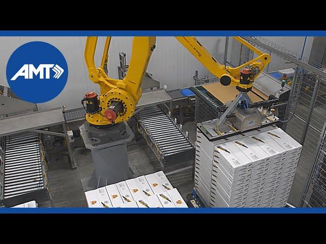 Conveyance and robotic palletizing - Wolverine food packaging