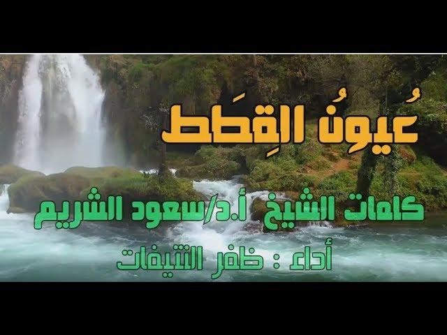 قصيدة Iعيون القطط I للشيخ سعودالشريم ... أداء : ظفر النتيفات ، مونتاج قناة : محمد المدعث