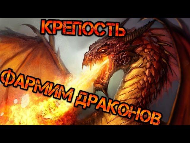 Фарм драконов в крепости, Вольная Дружина