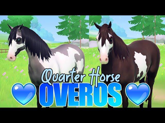 wir ERSTELLEN unser  OVERO QUARTER HORSE  Equestrian the Game