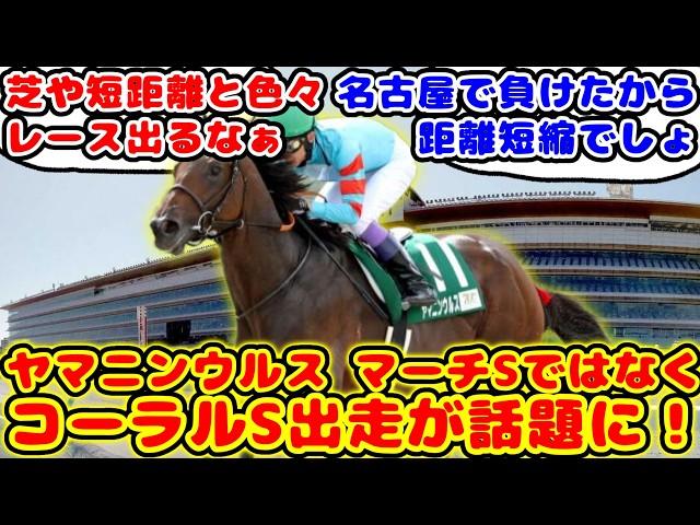 【競馬】ヤマニンウルス マーチSではなくコーラルS出走が話題に！！【競馬の反応集】