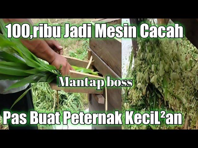 mesin cacah rumput termurah