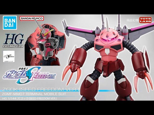 New 新品 HG 1/144 Z’GOK [Seed Freedom Ver.] unboxing review