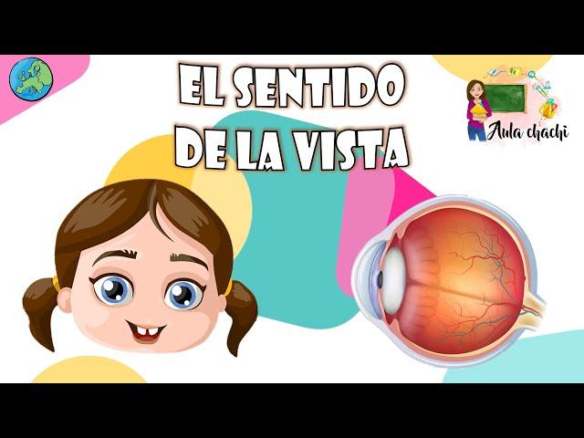El sentido de la vista | Aula chachi - Vídeos educativos para niños