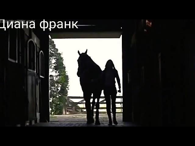Клип про лошадей  оранжевые сны