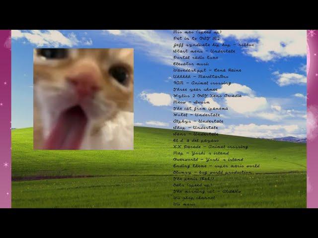 A silly playlist for silly cat people