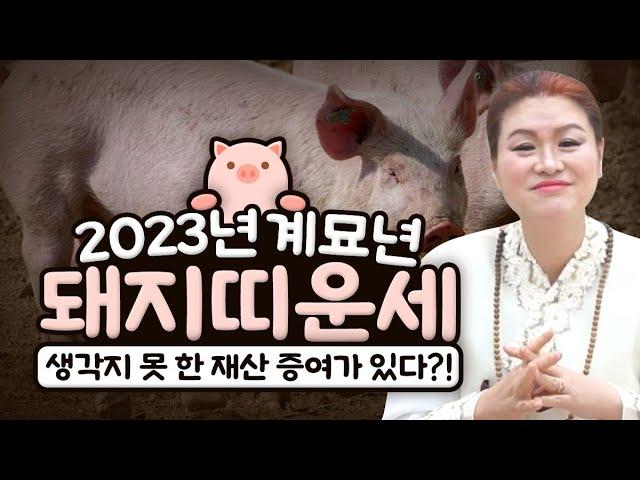 2023년 돼지띠운세! / 대박나는띠와 나이 호명합니다 - 동토왕래장군